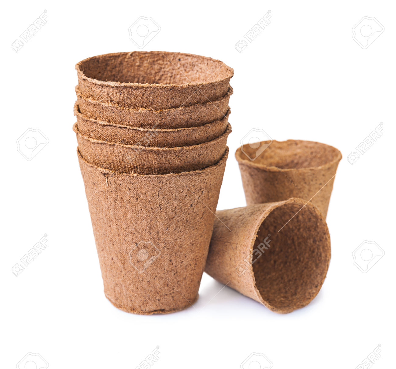 Coco Peat Pot 1